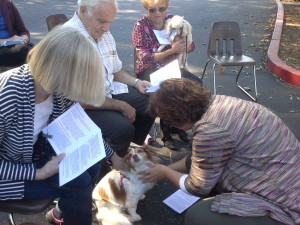 Blessing of the Animals on Oct. 3 at PEACE Lutheran Church, Grass Valley.
