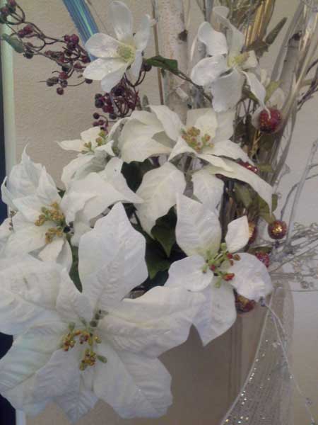 Epiphany whiteflowers